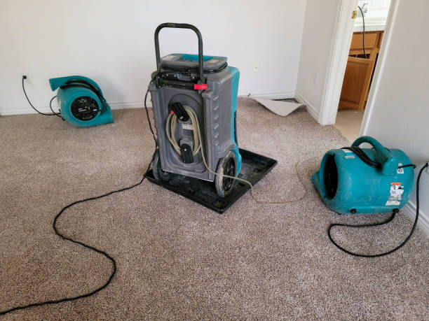 Best Mold removal after water damage  in Boswell, PA