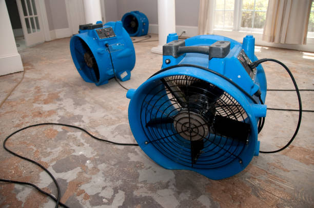Best Flood damage cleanup  in Boswell, PA
