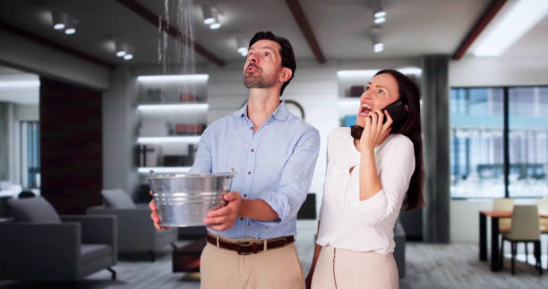Best Water damage restoration experts  in Boswell, PA