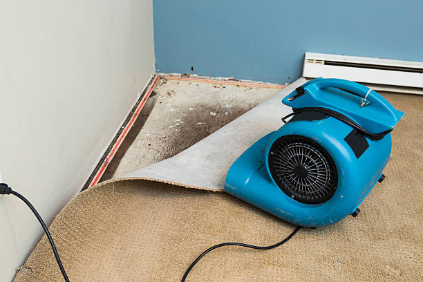 Best Sewage cleanup and water damage restoration  in Boswell, PA